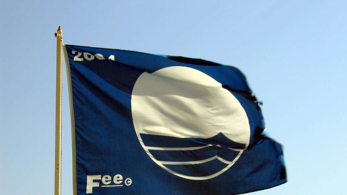 De blåa flaggorna introducerades 1987, men det var först 1994 som de började hissas i Sverige. Arkivbild.