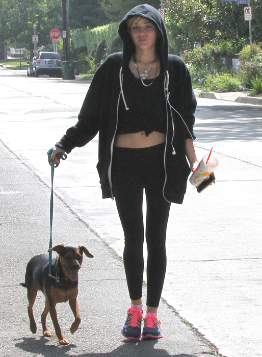 Miley Cyrus rastar sin jycke. Miley Cyrus rastar sin jycke.