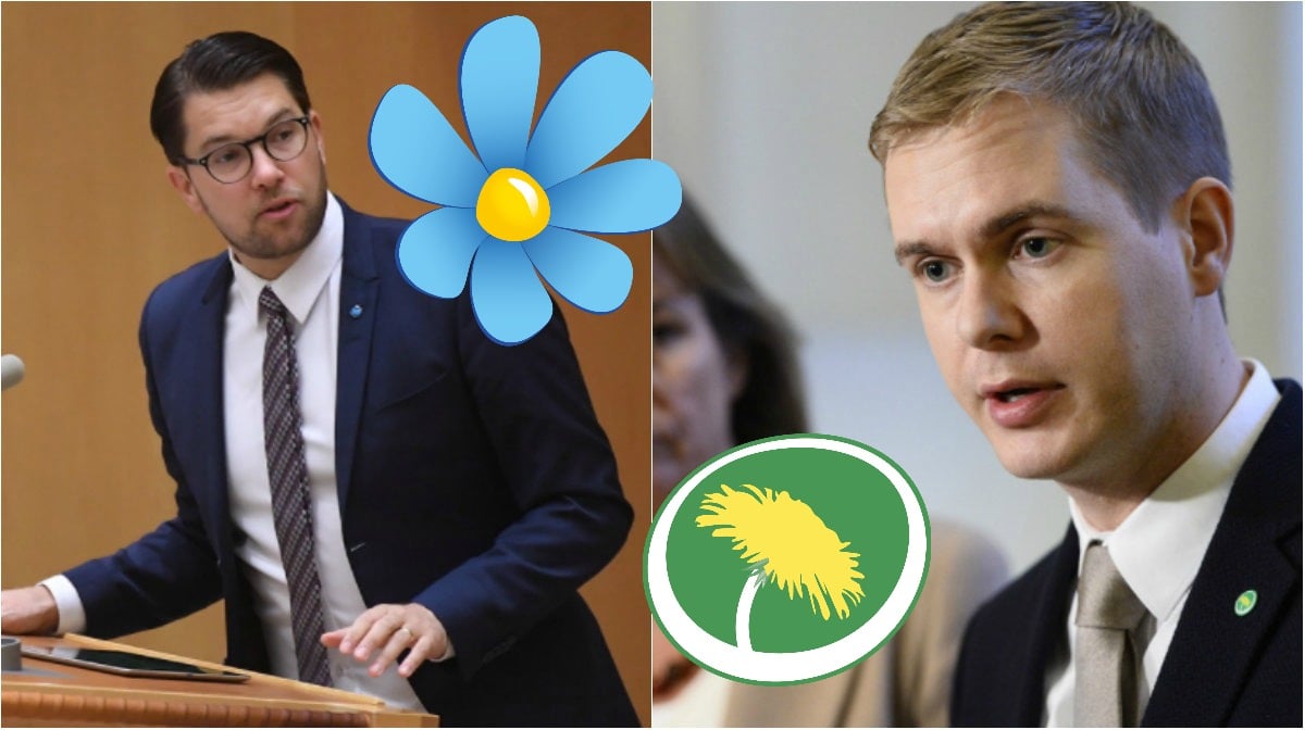 Sverigedemokraterna, Miljöpartiet, Opinionsundersökning