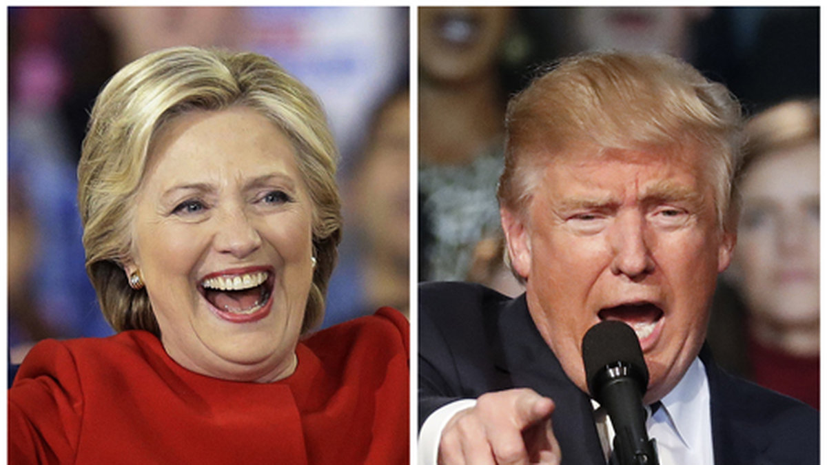 Valet stod mellan Hillary Clinton och Donald Trump.