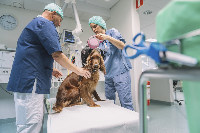 Foto: Stina Stjernkvist / TT Foto: Stina Stjernkvist / TT