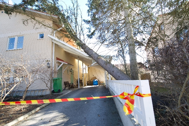 Ett träd har föll över ett hus på Katrinelundsvägen i Västerås. 
