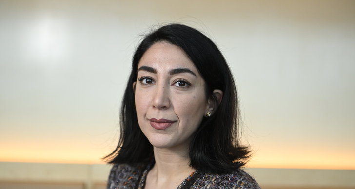 Amanda Lind, Sverigedemokraterna, TT, Socialdemokraterna