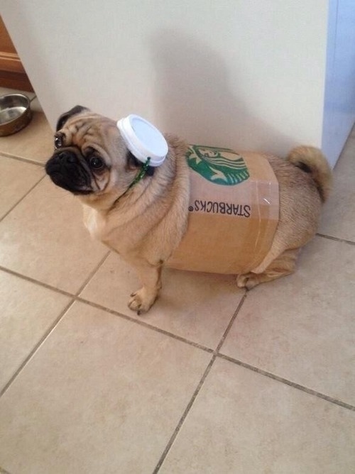 Som Starbucksmugg. Perfekt färgmatchning. Som Starbucksmugg. Perfekt färgmatchning.