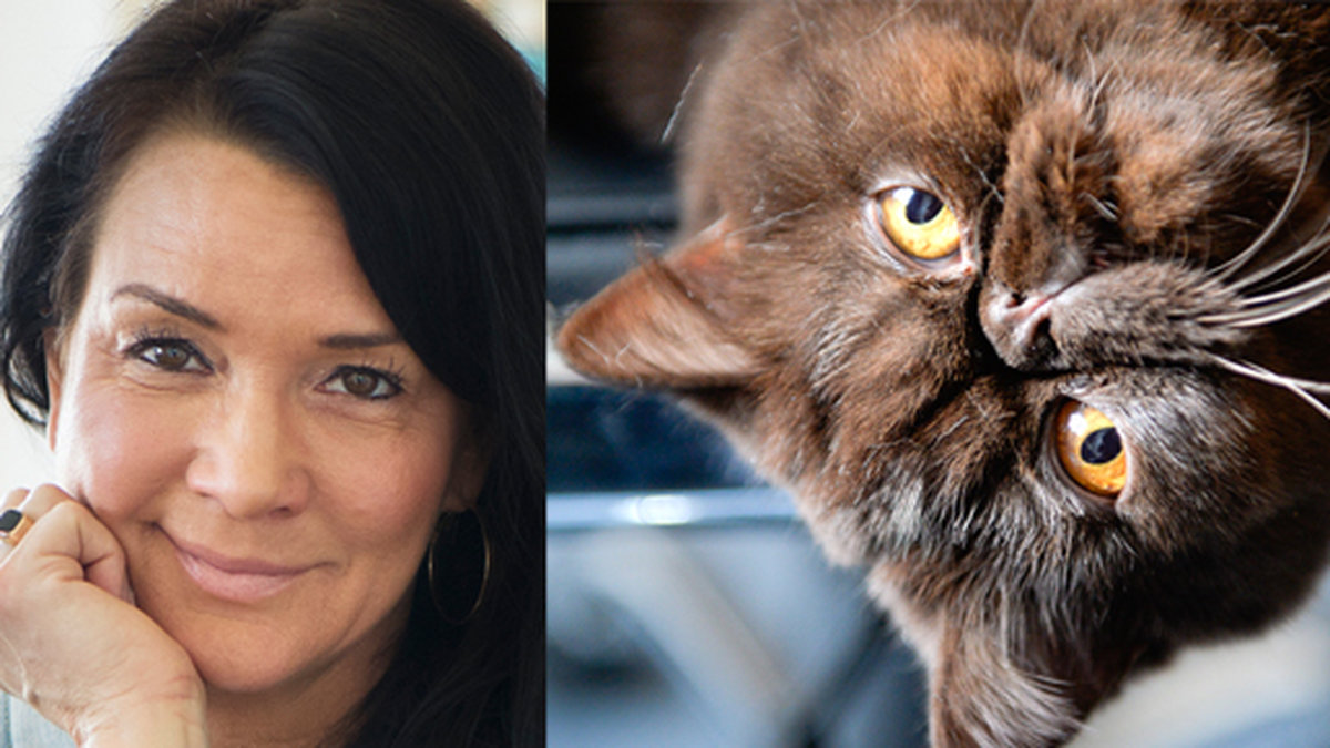 TV-profilen Sofia Wistams pappa matade familjens katt med hennes fingertoppar. 