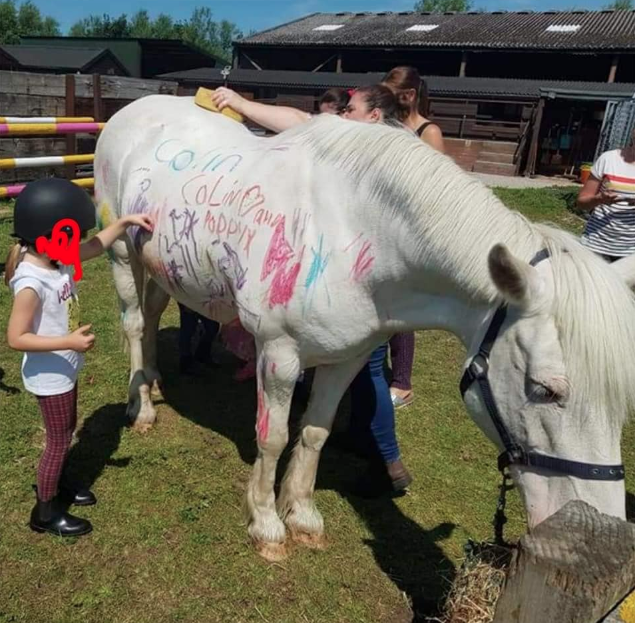 Hästar som blir målade på av små barn. Hästar som blir målade på av små barn.