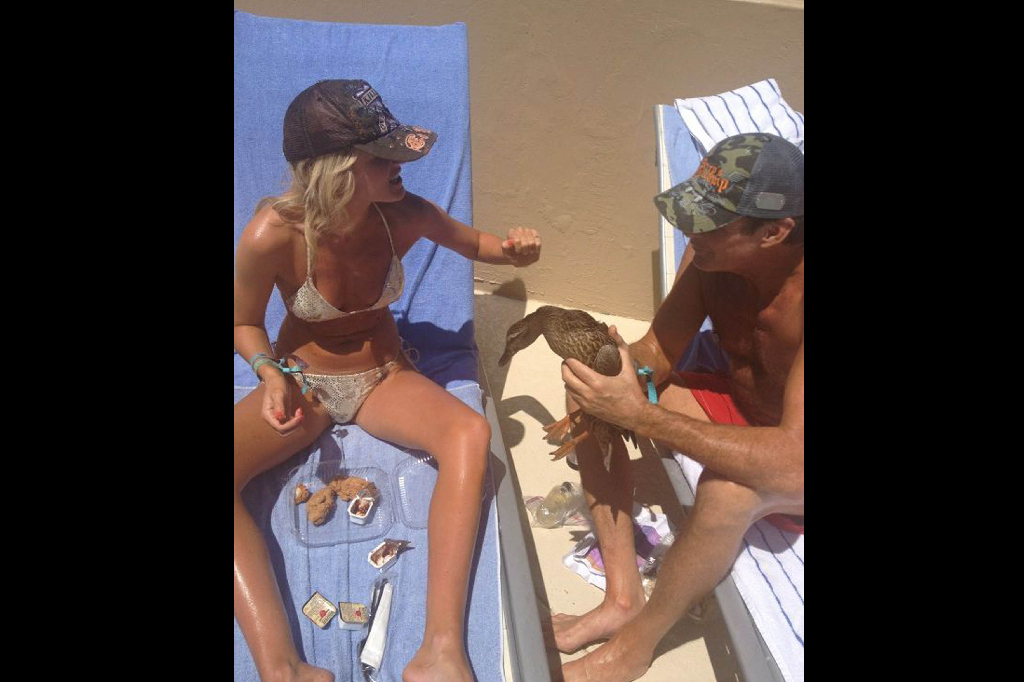 När David Hasselhoff inte springer runt i röda små shorts på stranden hänger han vid poolen med sin flickvän Hayley Roberts - och fångar änder.