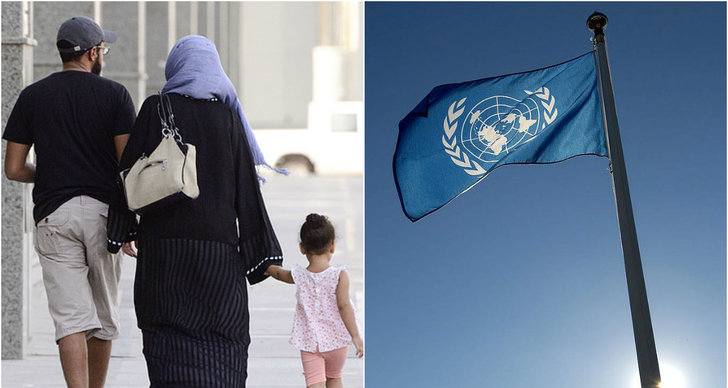 FN, Jämställdhet, Monica Green, Saudiarabien