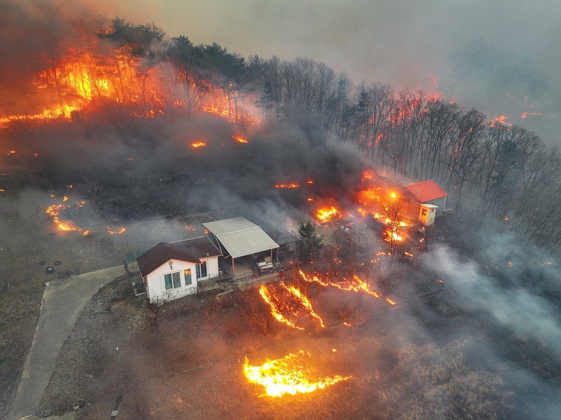 Byggnader har fattat eld i samband med en naturbrand i Sydkorea i mars. Vissa delar av Sverige väntas drabbas av torka i klimatförändringarnas spår, vilket kan leda till ökad brandrisk.