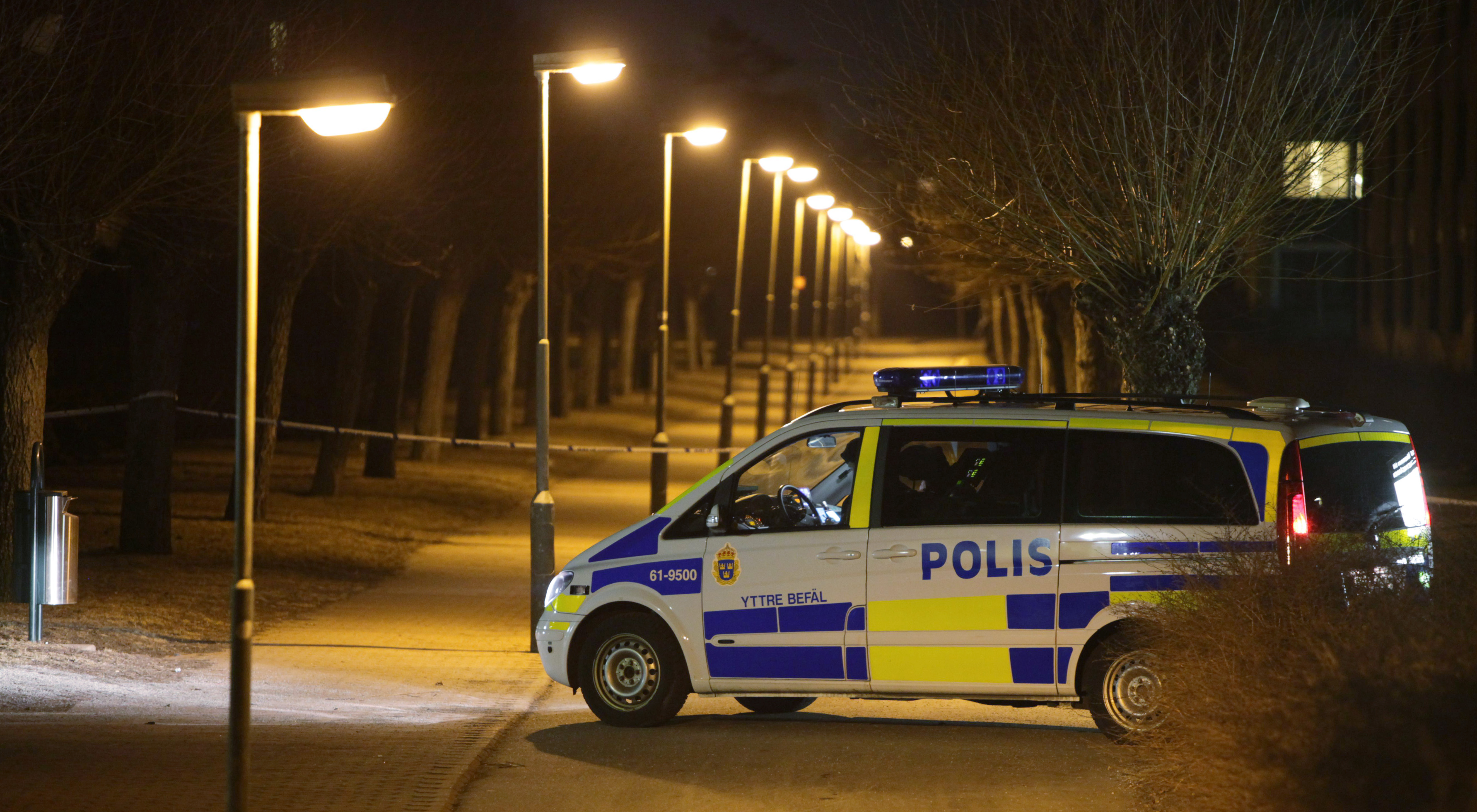 Två unga kvinnor våldtogs i Södertälje förra helgen. Tre män sitter just nu häktade för en av våldtäkterna. 
