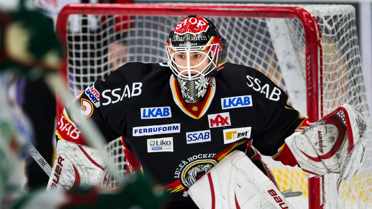 Förre Luleåmålvakten Mattias Modig är tillbaka i svensk hockey. Det är upplagt för en spännande målvaktsfight i Växjö.