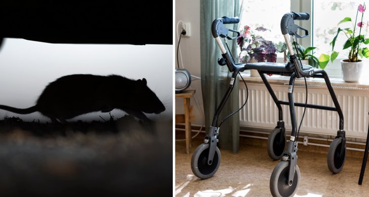 Äldreboende - Nyheter, artiklar, reportage och video - Nyheter24