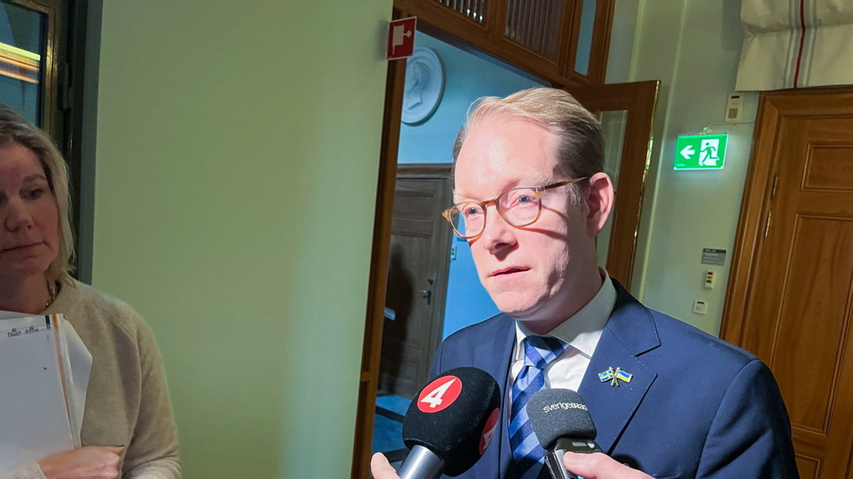 Utrikesminister Tobias Billström (M) tycker inte att kritiken mot regeringens hantering av Natoprocessen 'träffar rätt'.