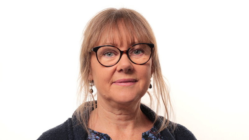 Berit Arheimer, professor i hydrologi på SMHI. Arkivbild.