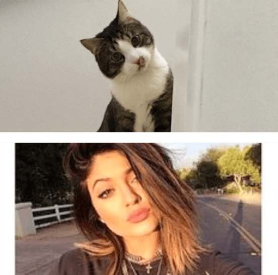 Kylie Jenner. Kylie Jenner.