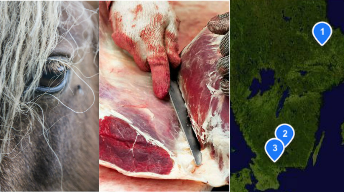 Tre slakterier som bland annat slaktar häst har avslöjats för köttfusk.