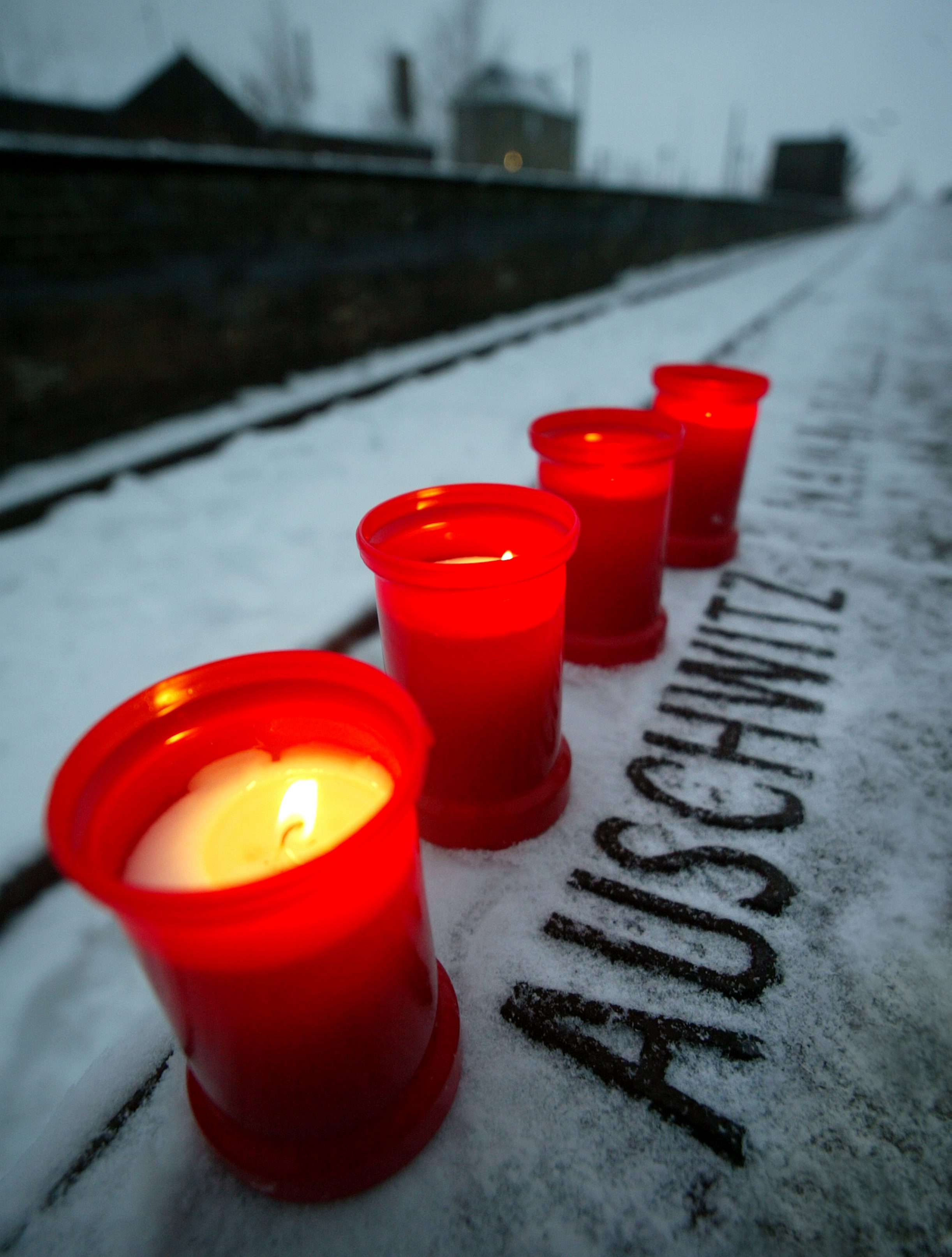 Världen över minns i dag det vi aldrig får glömma. Världen över minns i dag det vi aldrig får glömma.
