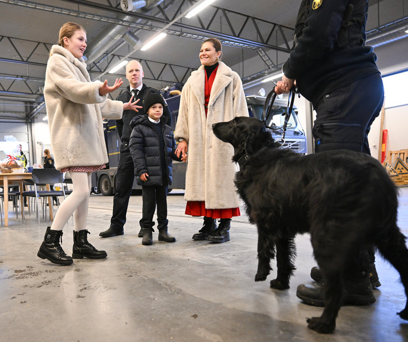 Sökhunden Vittra, 9 år, spred julglädje dagen till ära.