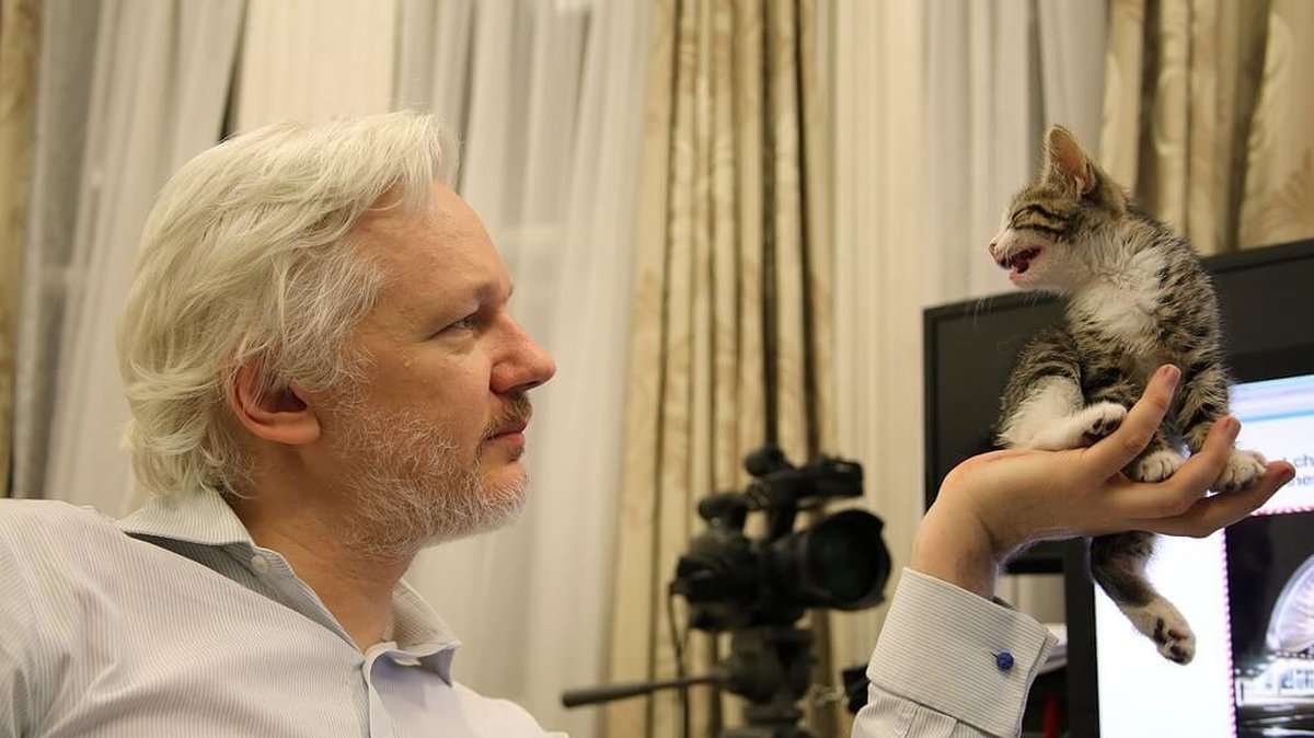 Assange har inte lämnat Ecuadors ambassad sedan han gick in där 19 juni 2012.