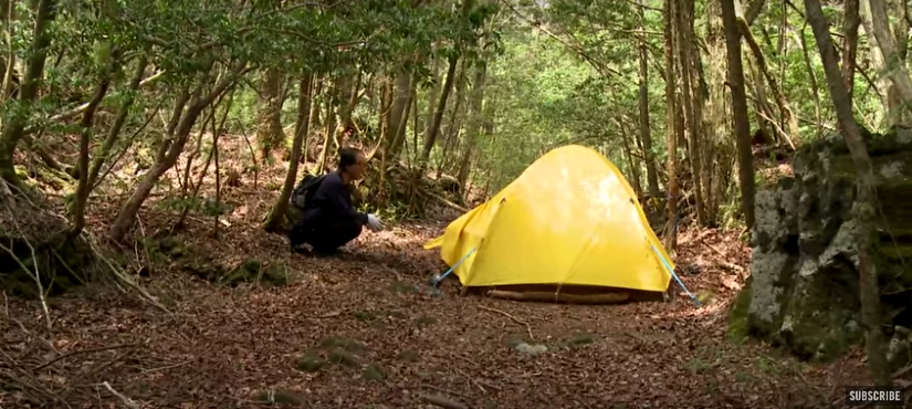 Gult tält i skogen