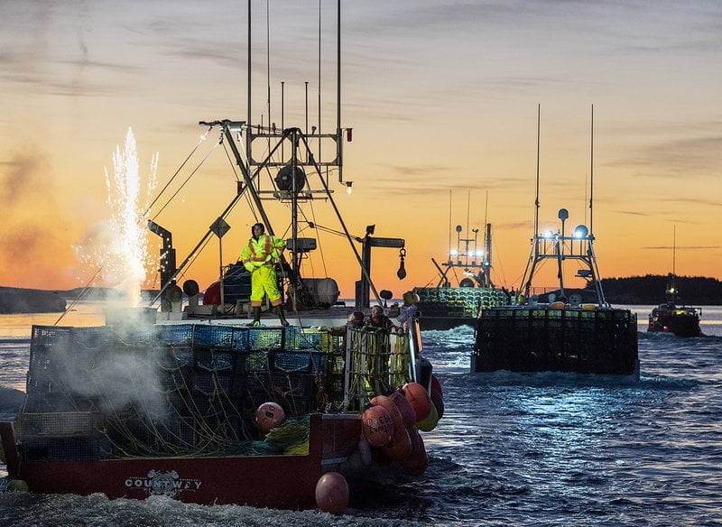 Hummerfisket ökade i Nova Scotia när uppvärmda bottnar gjorde humrarna mer aktiva och lättfångade. De långsiktiga konsekvenserna är inte klarlagda. 