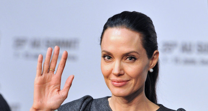 Angelina Jolie, Invandring, FN
