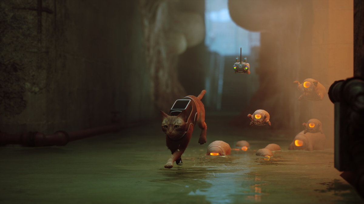 Med hjälp av roboten B12 kan katten senare i spelet bekämpa varelserna som på bilden jagar kissen.