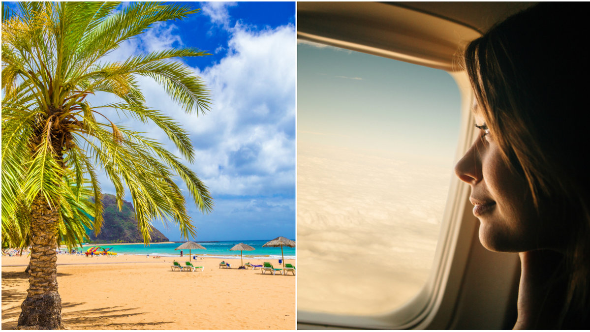 Palm på en strand och kvinna som tittar ut från ett flygplansfönster