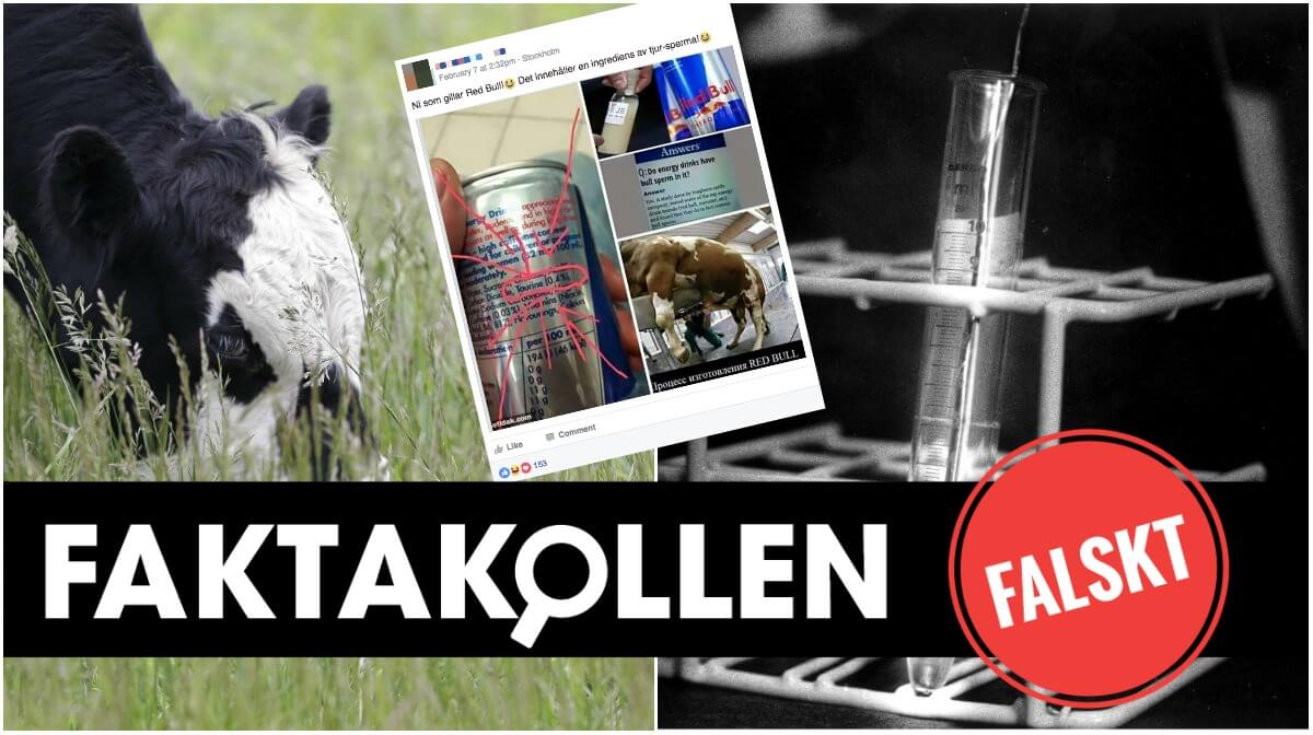 taurin vad är det
