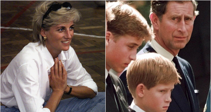 Brittiska kungahuset, Prinsessan Diana, Prins Harry, Prins William