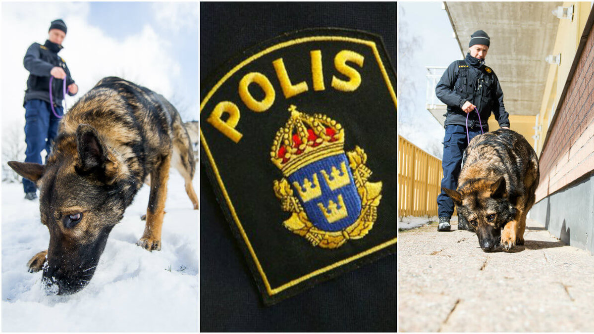 Ett Facebook-inlägg från hundenheten på polisen i Stockholm har blivit viralt. Hundarna på bilderna har dock inget med artikeln att göra.