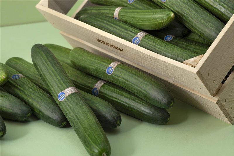 Så här ser den inoljade plastfria gurkan ut. Foto: Ica-gruppen Så här ser den inoljade plastfria gurkan ut. Foto: Ica-gruppen