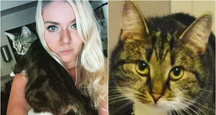 Katt, khaleesi