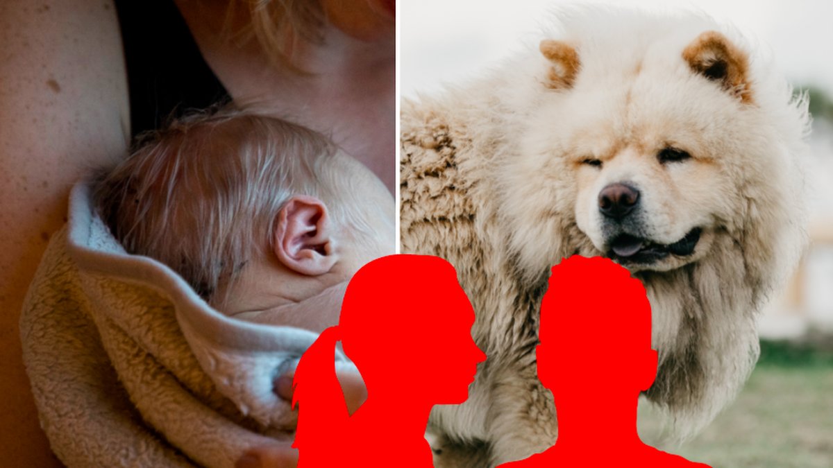 Mamma stödjer partner vars hund bet ihjäl parets spädbarn 