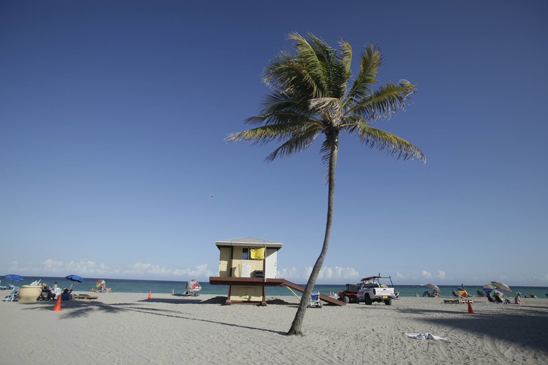 Bella Nilsson och Thomas Nilsson reste bland annat till Florida för företagets pengar, enligt åtalet. Foto: J Pat Carter Bella Nilsson och Thomas Nilsson reste bland annat till Florida för företagets pengar, enligt åtalet. Foto: J Pat Carter