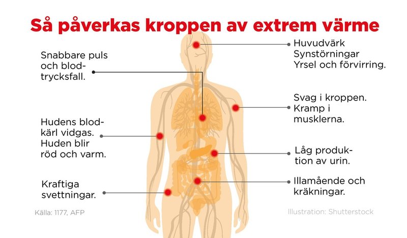 Extrem värme påverkar kroppen.