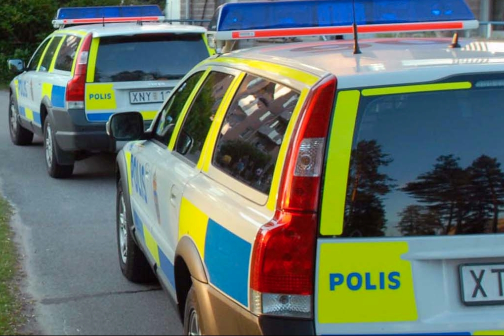 Brott och straff, Hakkors, Sverigedemokraterna, Attack, Polisen, SDU, Riksdagsvalet 2010, Malmö, David von Arnold Antoni