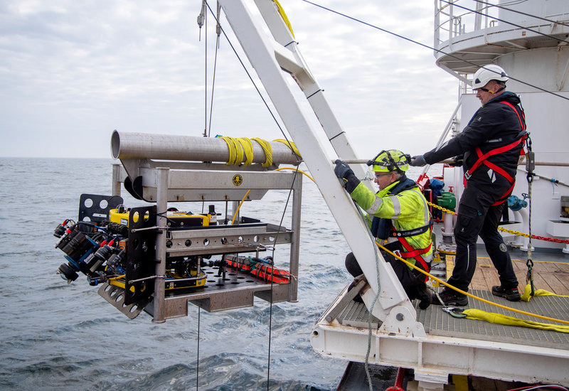 Här sänks den specialbyggda undervattensdrönaren, en ROV, ner i vattnet i en stålbur på torsdagsmorgonen. Den sänks ner i buren till 45 meters djup, därefter rör den sig på egen hand.