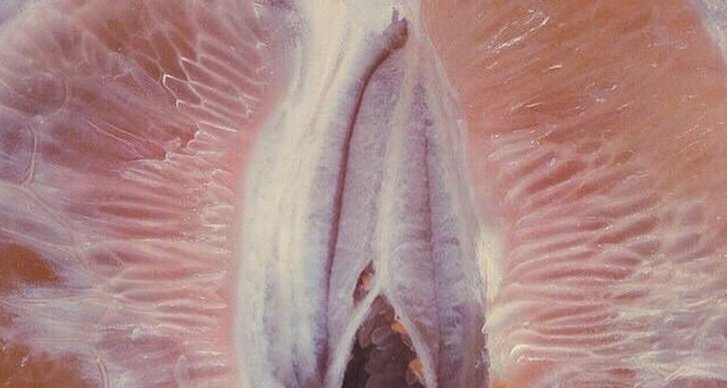 klitoris, Piercing, Vagina