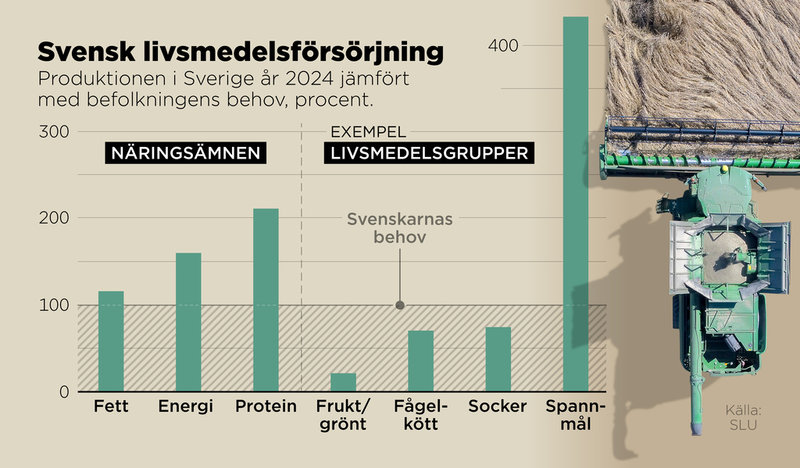 Produktionen i Sverige år 2024 jämfört med befolkningens behov, procent.