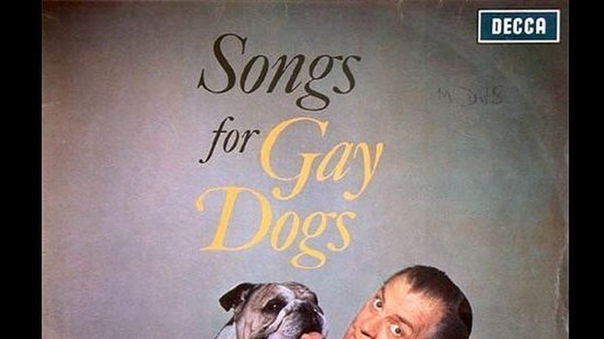 "Songs for gay dogs".