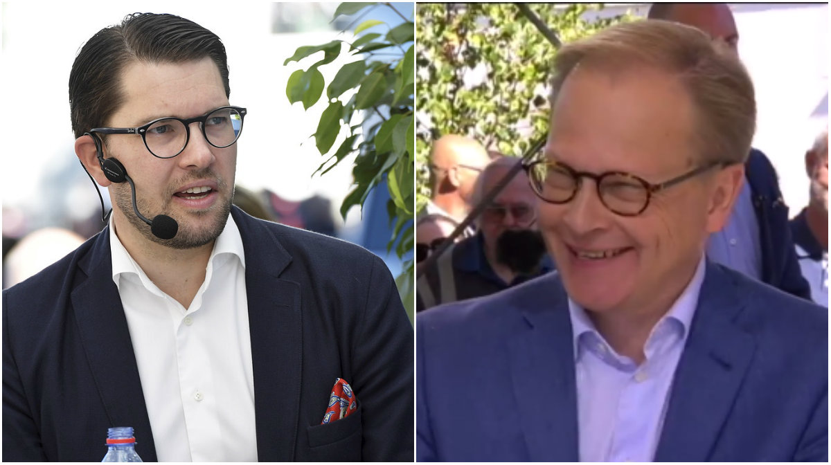 Jimmie Åkesson: Okej att skjuta folk om de är beväpnade ...