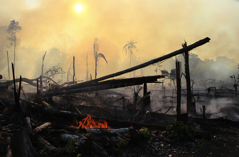 2024 påverkades 3,3 miljoner hektar av Amazonas av skogsbränder. Det ledde till att 797 miljoner ton koldioxid bildades, lika mycket som hela Tysklands utsläpp, enligt EU-kommissionens forskningscenter. Bilden från 2020.