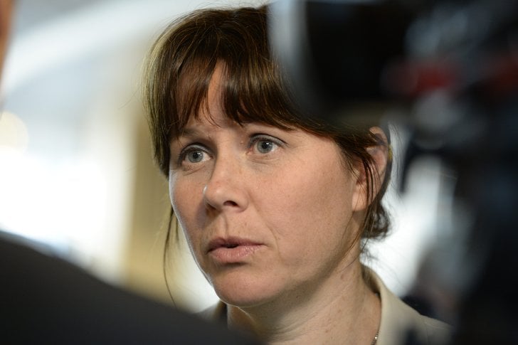 Klimat, Miljöminister, Åsa Romson, Avgår, Miljöpartiet