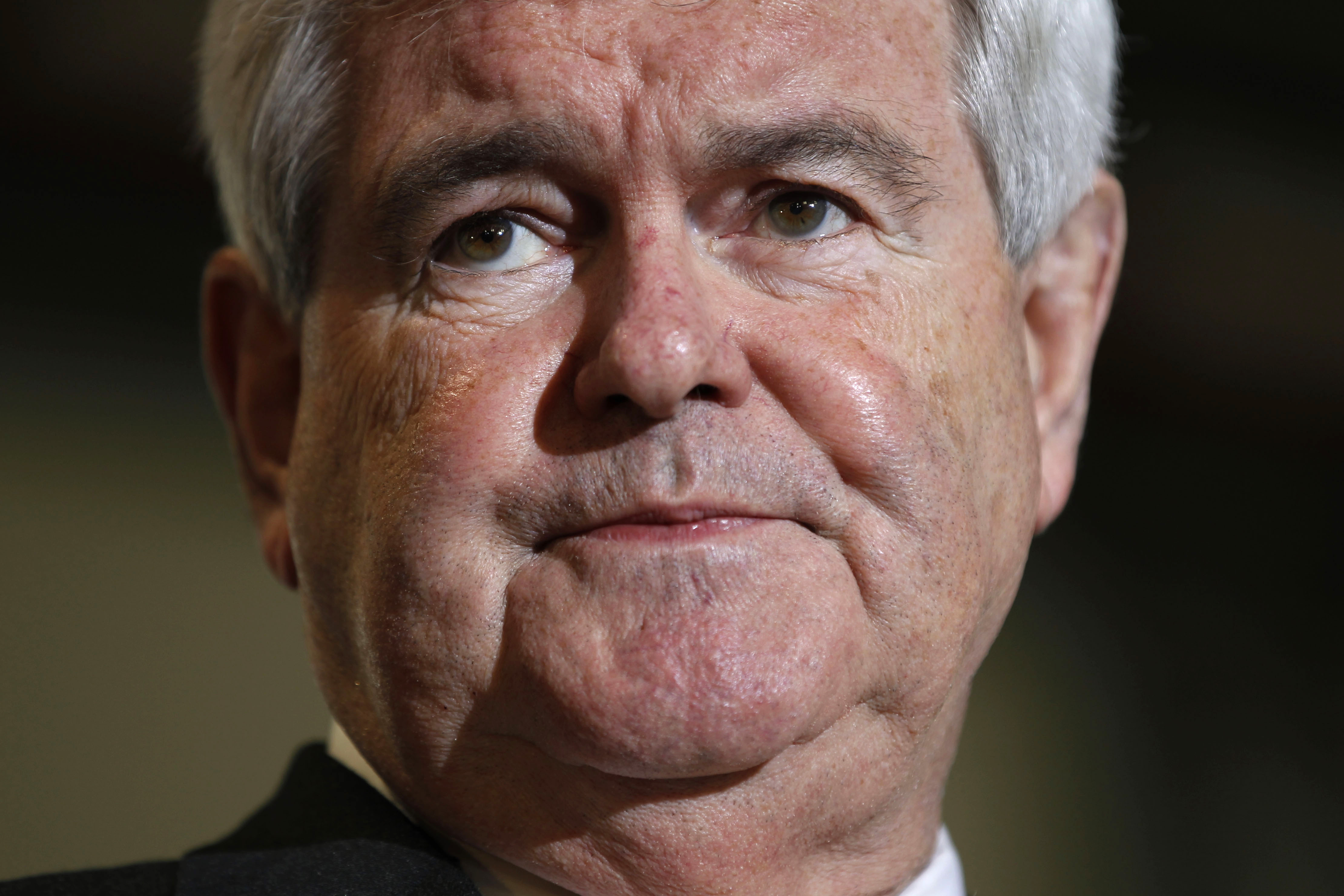 Presidentkandidaten Newt Gingrich stäms för brott mot upphovslagen. 