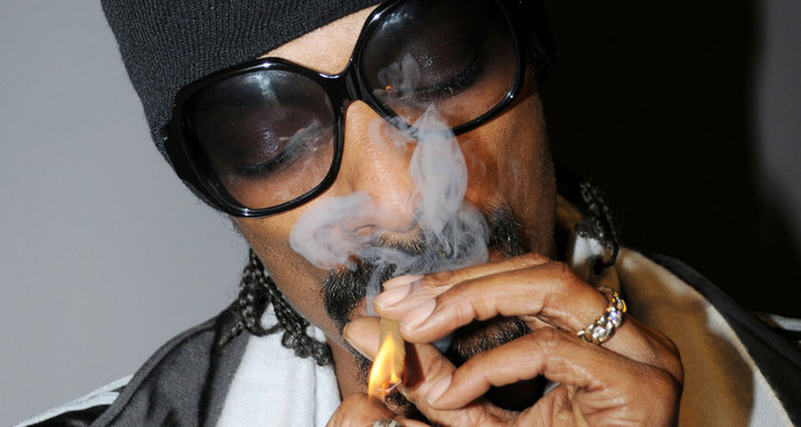 Cannabis, Drogtest, Snoop Dogg, Bojkott, Sverige