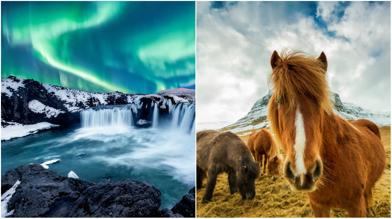 Resa till Reykjavik