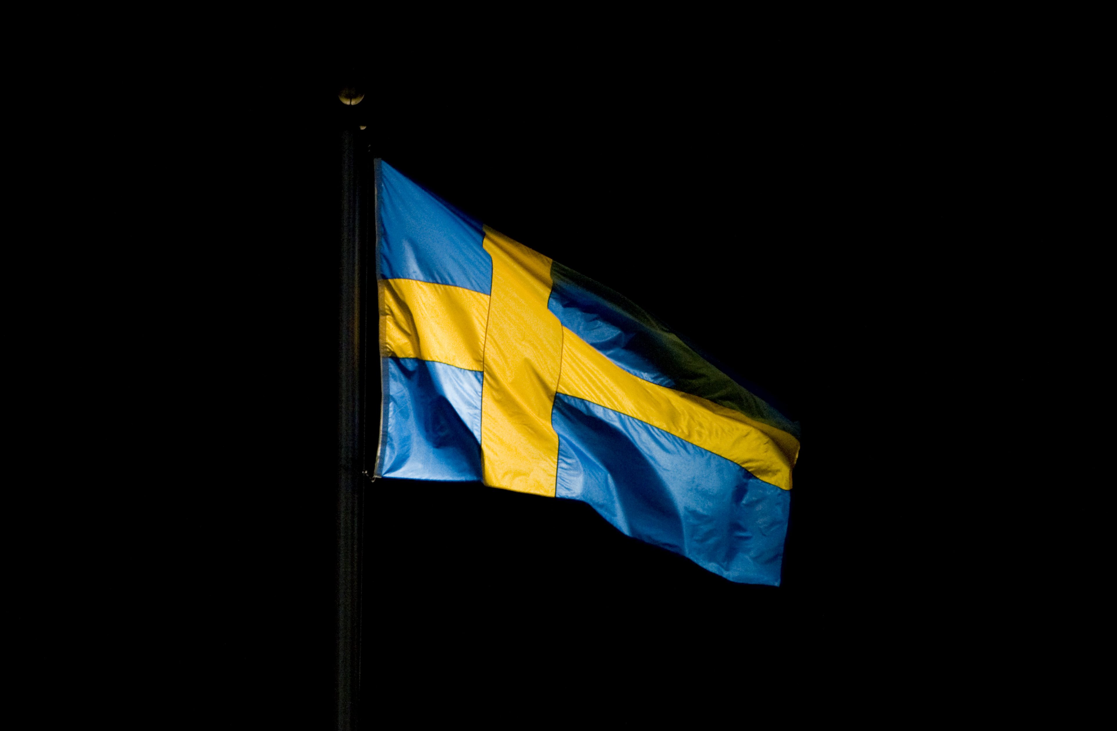 Sveriges nationaldag, Sverige