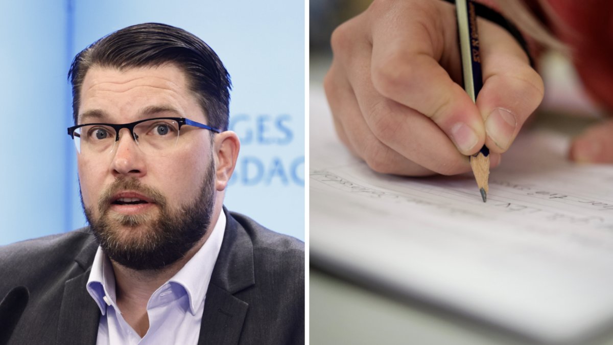 Jimmie Åkesson kritiserar nationella provet