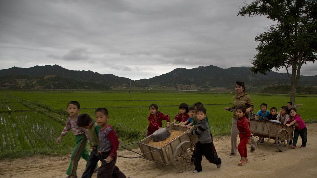 20 juni. Skolbarn hjälper till att täcka igen hål i vägen i North Hamgyong-provinsen.